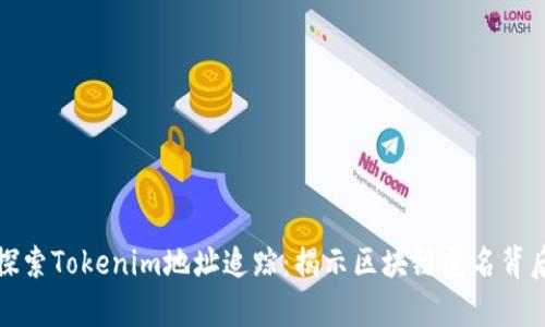 : 深入探索Tokenim地址追踪：揭示区块链匿名背后的真相