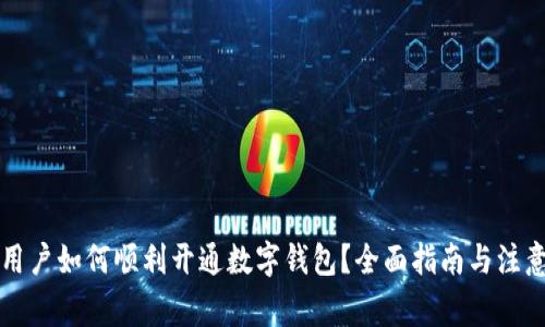 惩戒用户如何顺利开通数字钱包？全面指南与注意事项