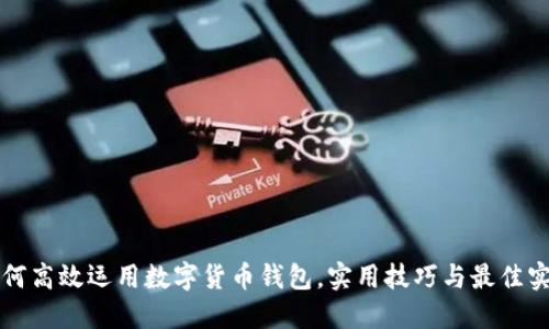 如何高效运用数字货币钱包，实用技巧与最佳实践