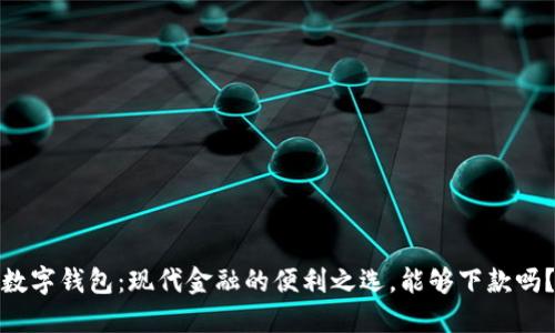 数字钱包：现代金融的便利之选，能够下款吗？