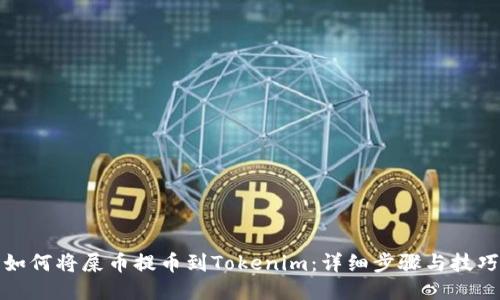 如何将屎币提币到Tokenim：详细步骤与技巧