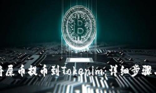 如何将屎币提币到Tokenim：详细步骤与技巧