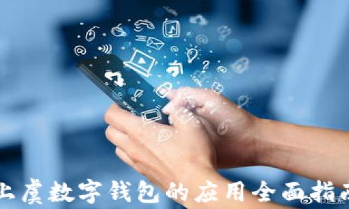 
上虞数字钱包的应用全面指南