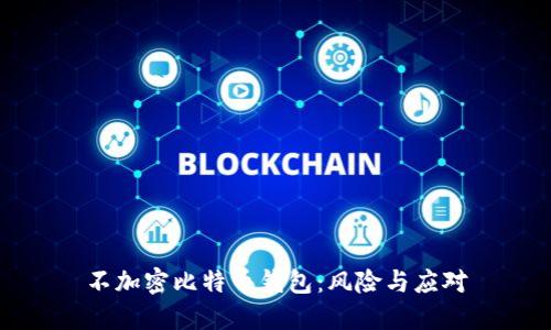 不加密比特币钱包：风险与应对