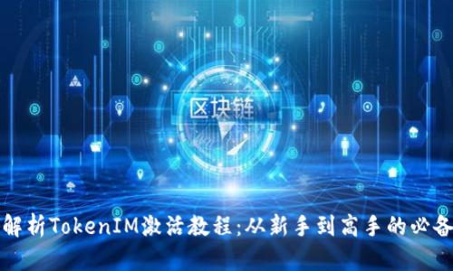 全面解析TokenIM激活教程：从新手到高手的必备指南