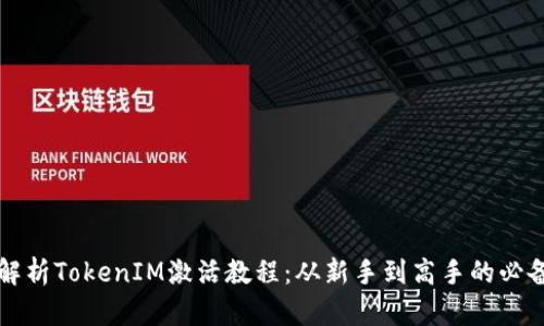 全面解析TokenIM激活教程：从新手到高手的必备指南