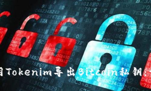 如何使用Tokenim导出Bitcoin私钥：详尽指南