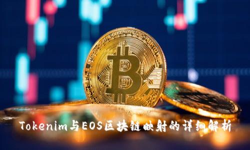 Tokenim与EOS区块链映射的详细解析