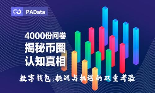 数字钱包：挑战与机遇的双重考验