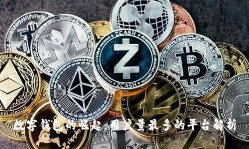 数字钱包的崛起：用户量最多的平台解析