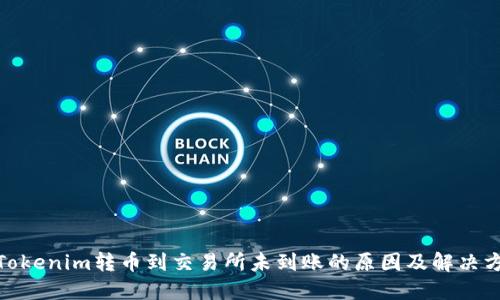 : Tokenim转币到交易所未到账的原因及解决方案