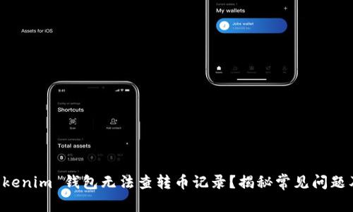 为什么 Tokenim 钱包无法查转币记录？揭秘常见问题及解决方案