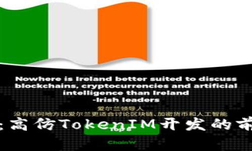 全新探讨：高仿TokenIM开发的前景与挑战