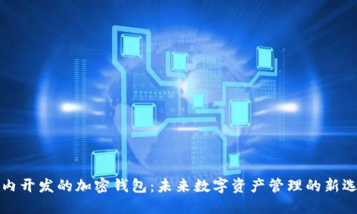 国内开发的加密钱包：未来数字资产管理的新选择