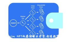 深入探讨Tokenim NFT的存储解
