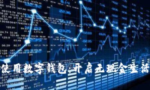 如何高效使用数字钱包：开启无现金生活的新时代
