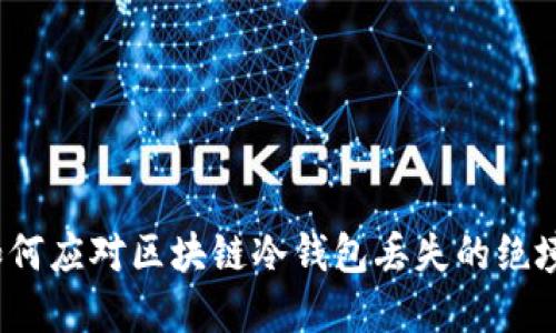 如何应对区块链冷钱包丢失的绝境？