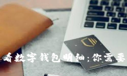 如何高效查看数字钱包明细：你需要知道的一切