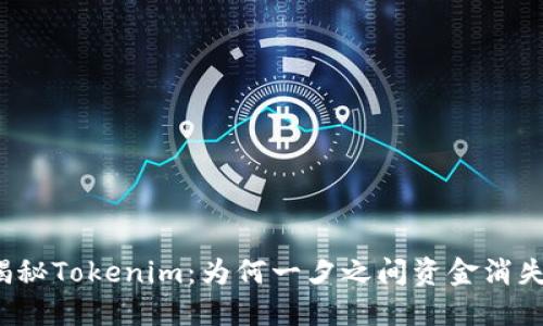 揭秘Tokenim：为何一夕之间资金消失？
