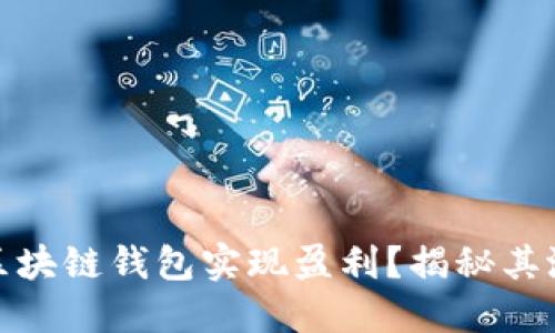 如何通过静态区块链钱包实现盈利？揭秘其潜在收益与策略