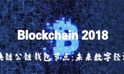 掌握区块链公链钱包节点：未来数字经济的基石