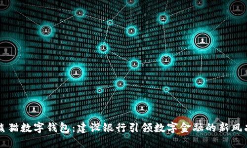 熊猫数字钱包：建设银行引领数字金融的新风尚