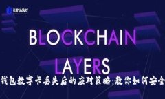 微信钱包数字卡丢失后的