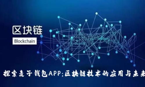  探索麦子钱包APP：区块链技术的应用与未来