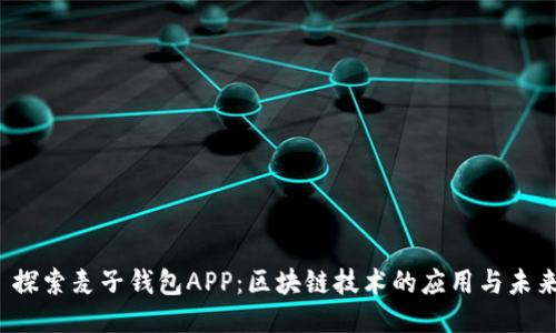  探索麦子钱包APP：区块链技术的应用与未来