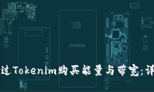 如何通过Tokenim购买能量与带宽：详尽指南