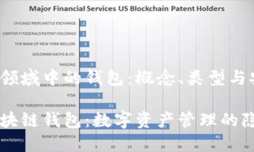 区块链领域中的钱包：概念、类型与安全性

揭秘区块链钱包：数字资产管理的隐秘助手