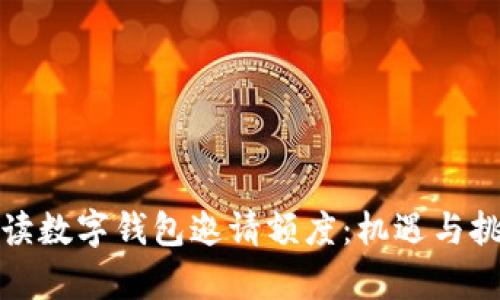 深入解读数字钱包邀请额度:机遇与挑战并存