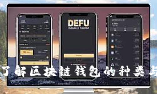 深入了解区块链钱包的种类与功能