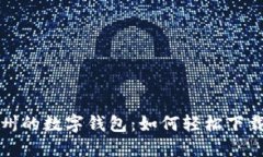 探索苏州的数字钱包：如