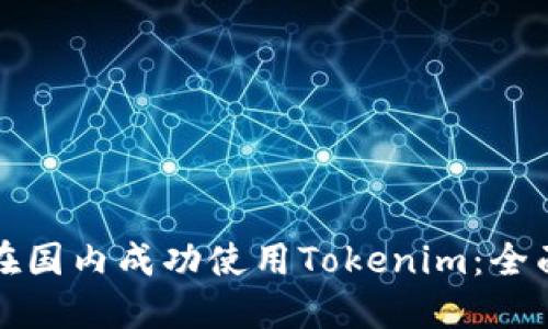 如何在国内成功使用Tokenim：全面指南