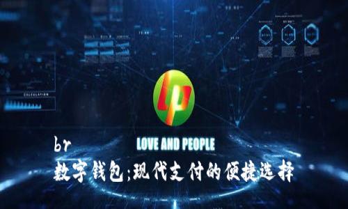 br
数字钱包：现代支付的便捷选择