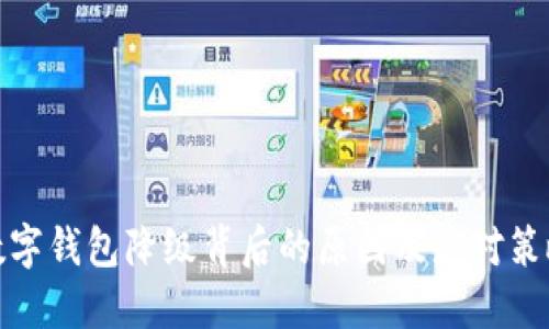 数字钱包降级背后的原因及应对策略