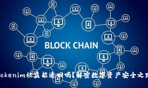 Tokenim被盗能追回吗？解密数字资产安全之路