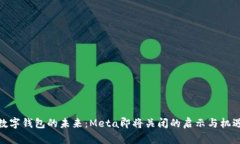 数字钱包的未来：Meta即将