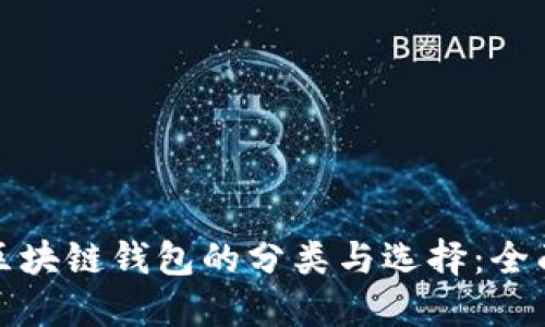 探索区块链钱包的分类与选择：全面指南