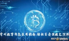 : 常州数字钱包使用指南：