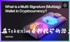 探索DPL在Tokenim质押挖矿的