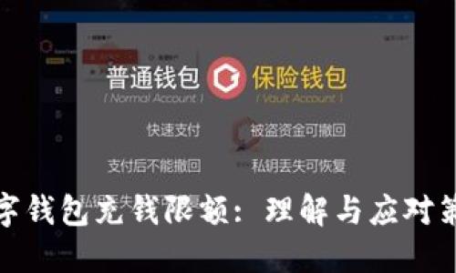 数字钱包充钱限额: 理解与应对策略