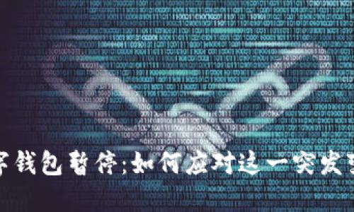 数字钱包暂停：如何应对这一突发变化
