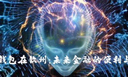 数字钱包在钦州：未来金融的便利与革新