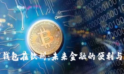数字钱包在钦州：未来金融的便利与革新