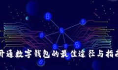 开通数字钱包的最佳途径与指南