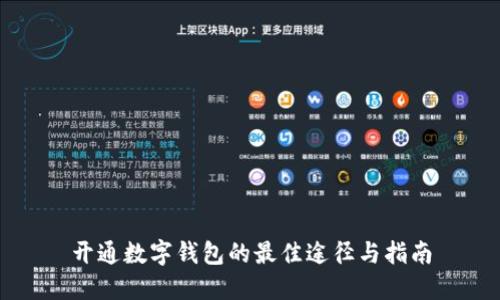 开通数字钱包的最佳途径与指南