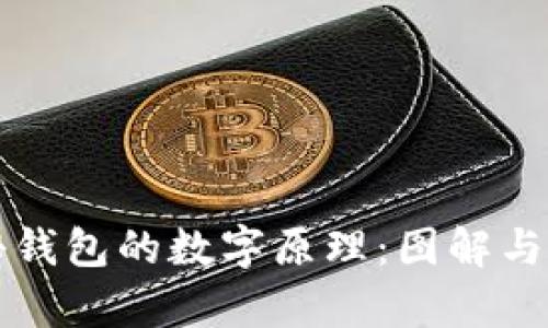 揭秘钱包的数字原理：图解与解析