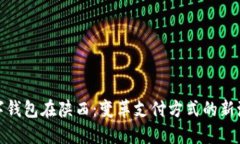 数字钱包在陕西：变革支
